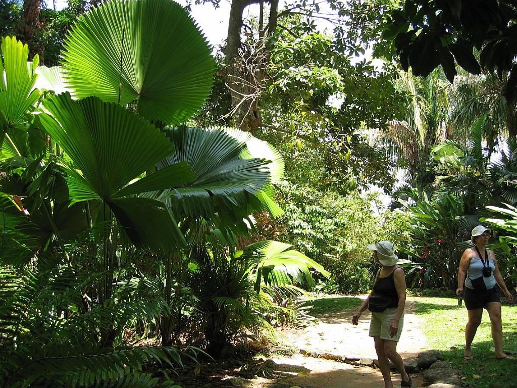 010 Jardin Botanique.jpg